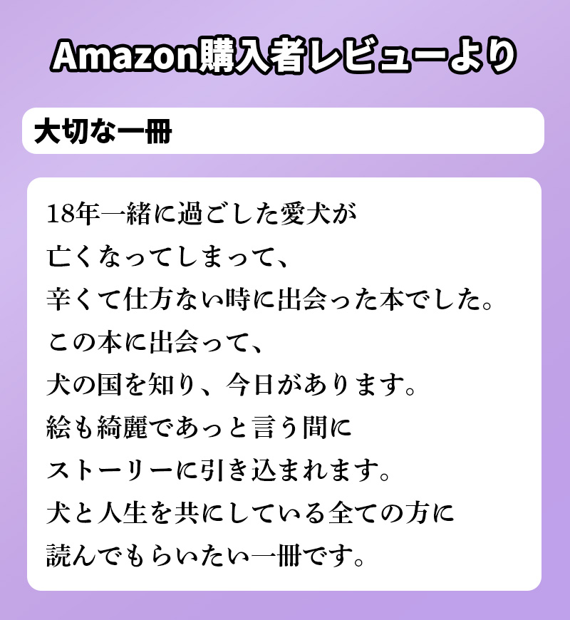 Amazon購入者レビューよりテキスト02